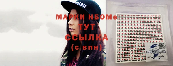 прущие грибы Абинск