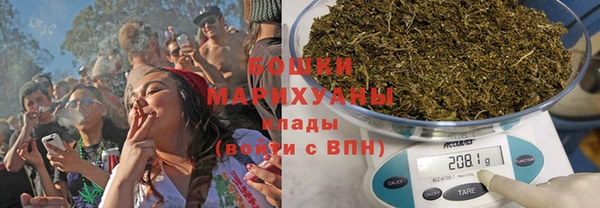 прущие грибы Абинск