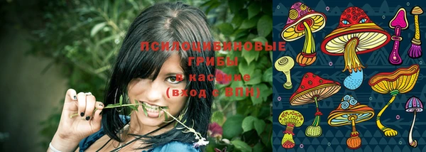 сатива Абаза