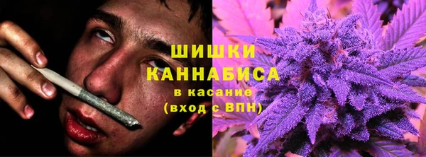 сатива Абаза