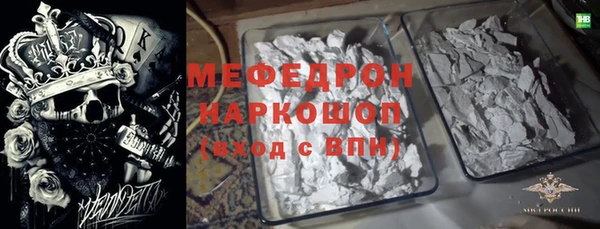 прущие грибы Абинск