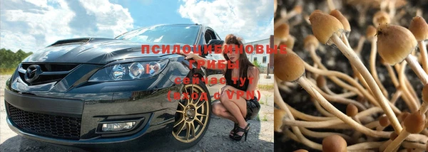 каннабис Абдулино