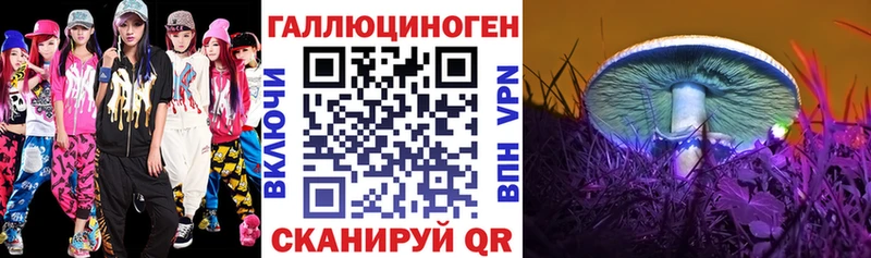 Галлюциногенные грибы Psilocybe  Удомля 